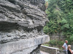 IMG_3570.JPG