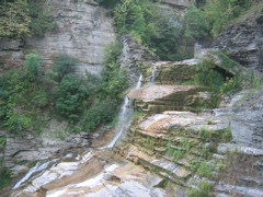 IMG_3571.JPG