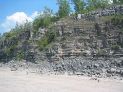 IMG_3579.JPG