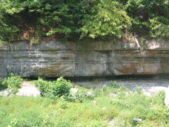 IMG_3562.JPG