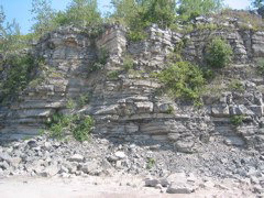 IMG_3580.JPG