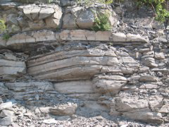 IMG_3581.JPG