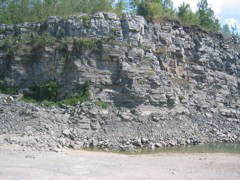 IMG_3583.JPG