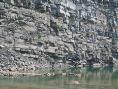 IMG_3585.JPG