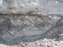 IMG_3587.JPG