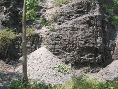 IMG_3565.JPG