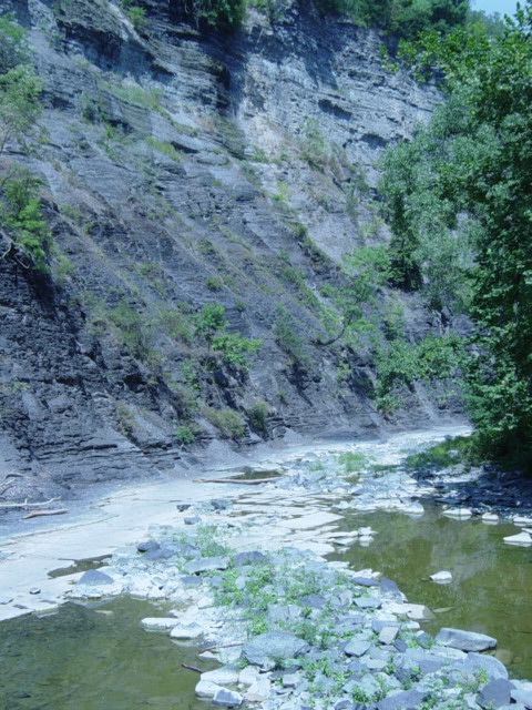 DSC03887