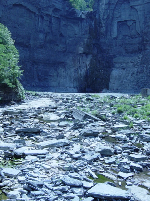 DSC03893