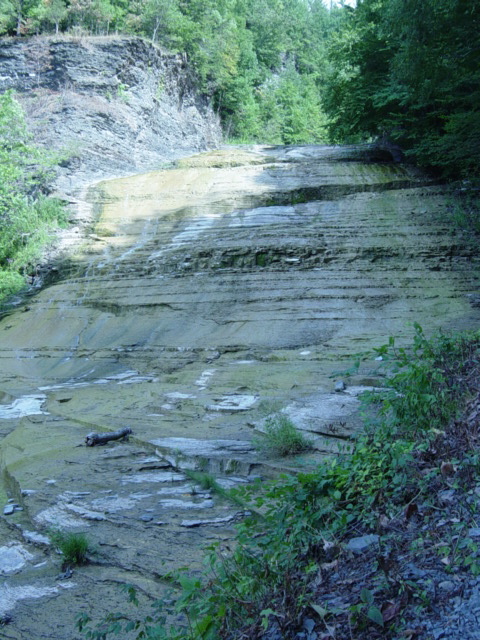 DSC03898