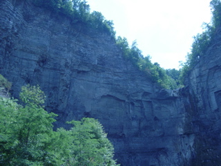 DSC03891