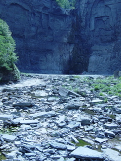 DSC03893