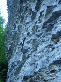 DSC03896