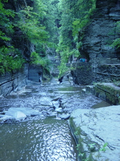 DSC03903
