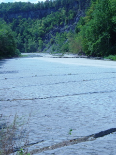 DSC03879