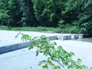 DSC03880