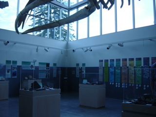 DSC03924