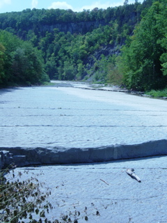 DSC03881