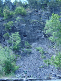DSC03884