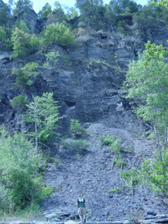 DSC03885