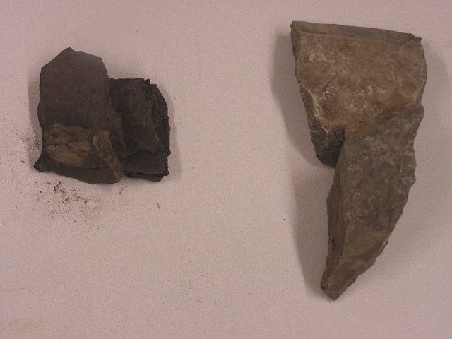 P1010002.JPG