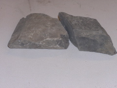 P1010003.JPG