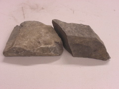 P1010005.JPG
