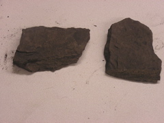 P1010006.JPG