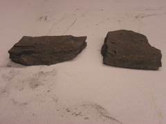 P1010007.JPG