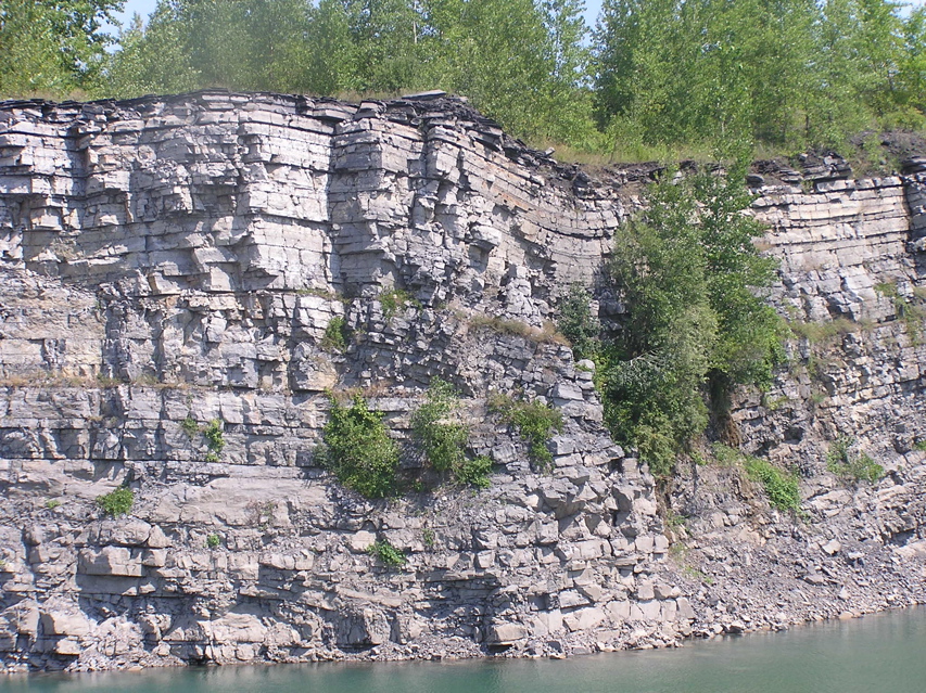 P1010351