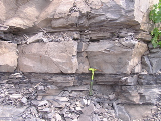 P1010343
