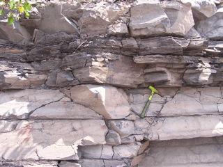 P1010342