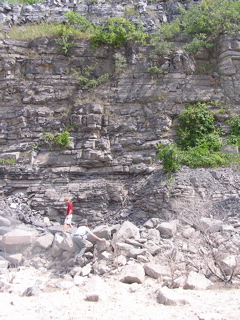 P1010341