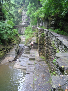 P1010335