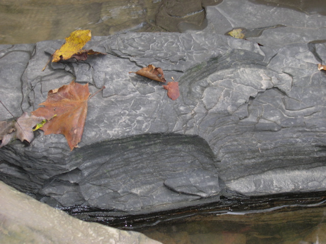 DSCN0160.JPG