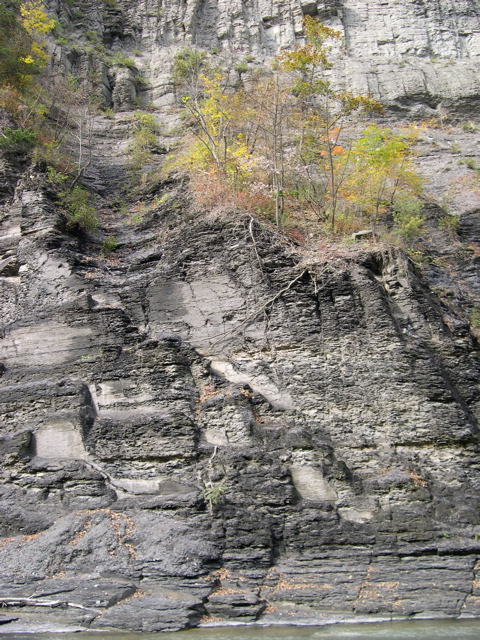 DSCN0164.JPG