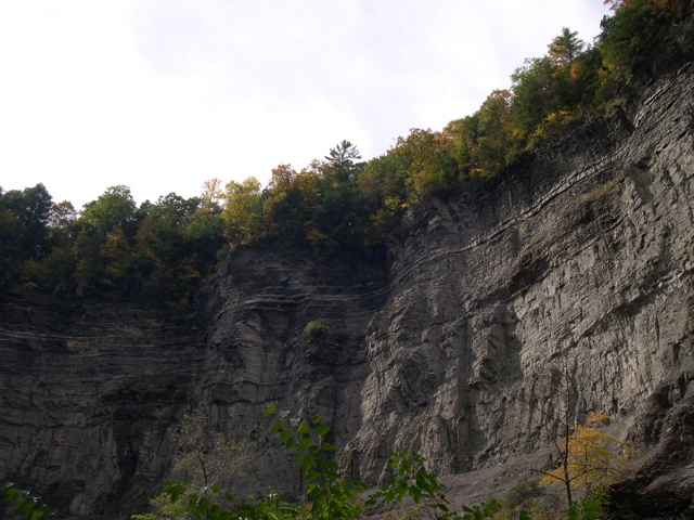 DSCN0173.JPG