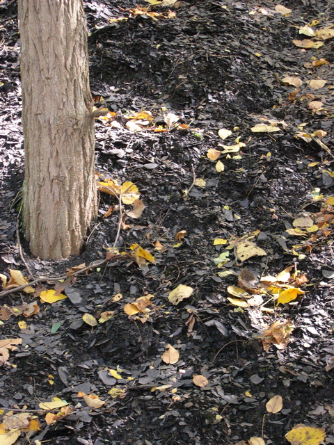 DSCN0060.JPG