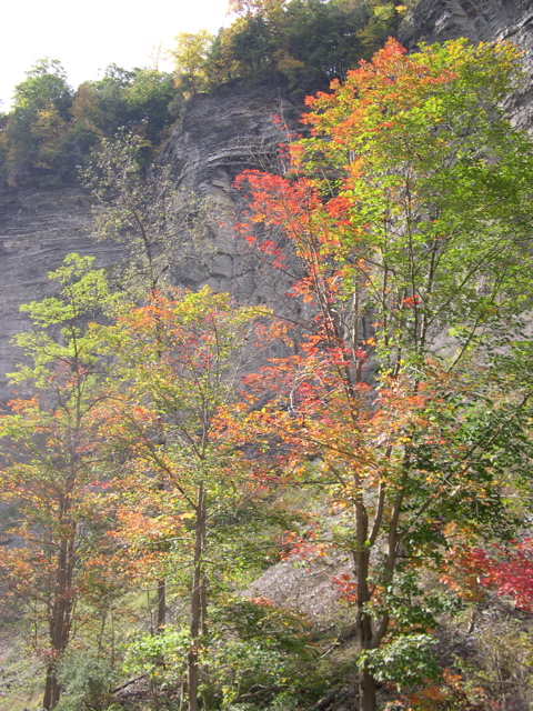 DSCN0190.JPG