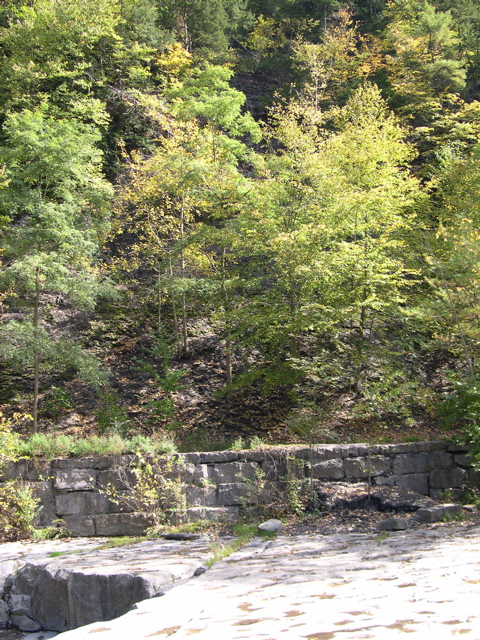 DSCN0067.JPG