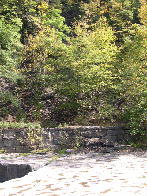 DSCN0070.JPG