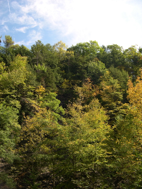 DSCN0072.JPG