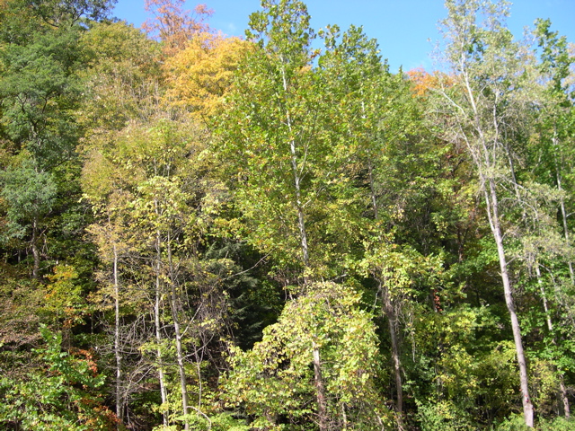 DSCN0075.JPG