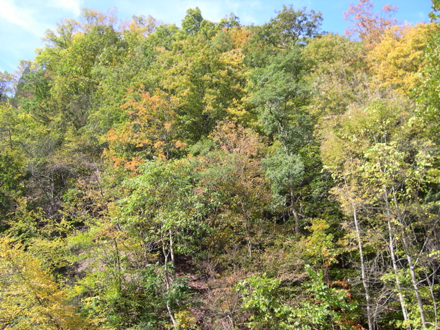 DSCN0076.JPG