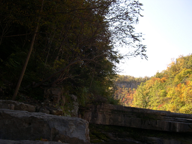 DSCN0049.JPG