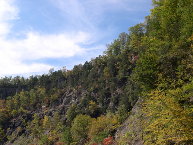DSCN0079.JPG