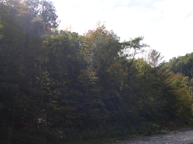 DSCN0084.JPG