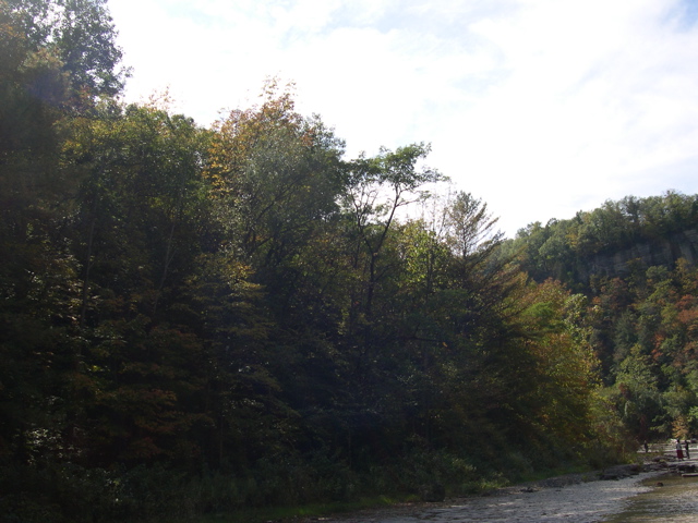 DSCN0085.JPG