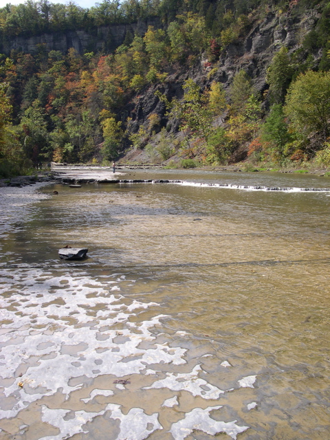DSCN0090.JPG