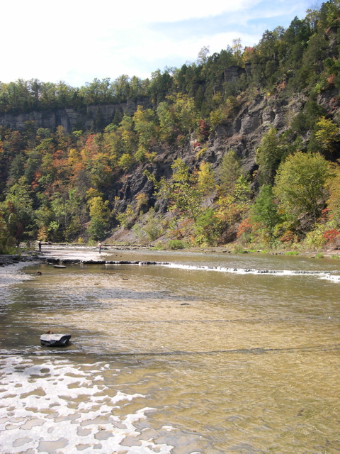 DSCN0091.JPG