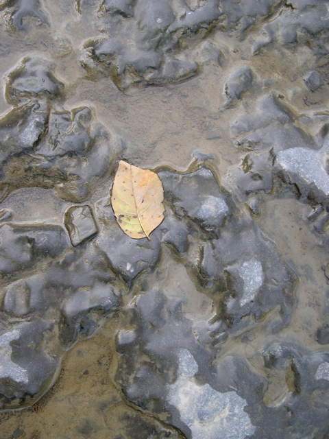 DSCN0095.JPG
